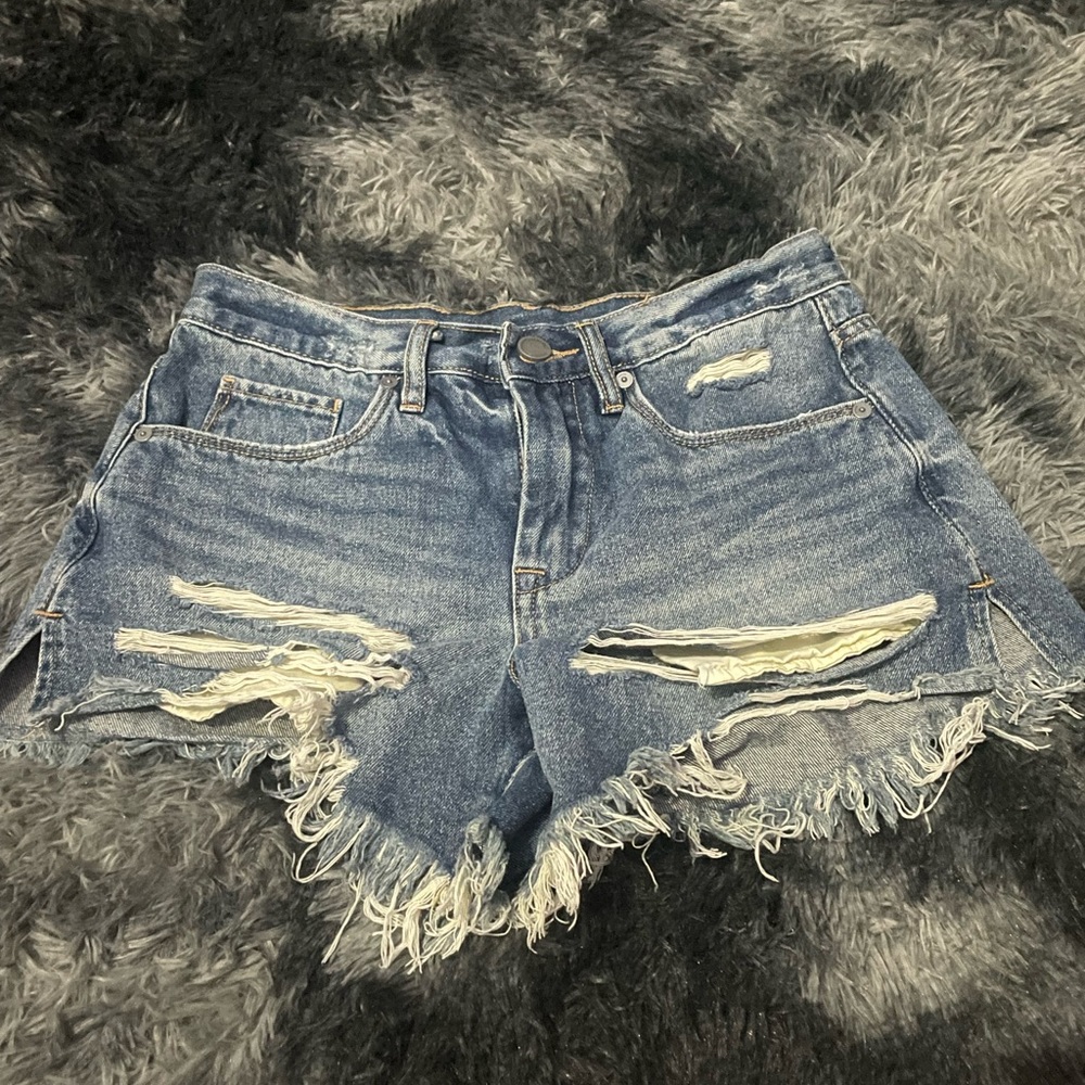 Vintage High Rise Shorts